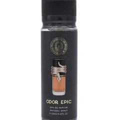 S-4048 250ml Custom Label Perfume Spray - Product Close-up